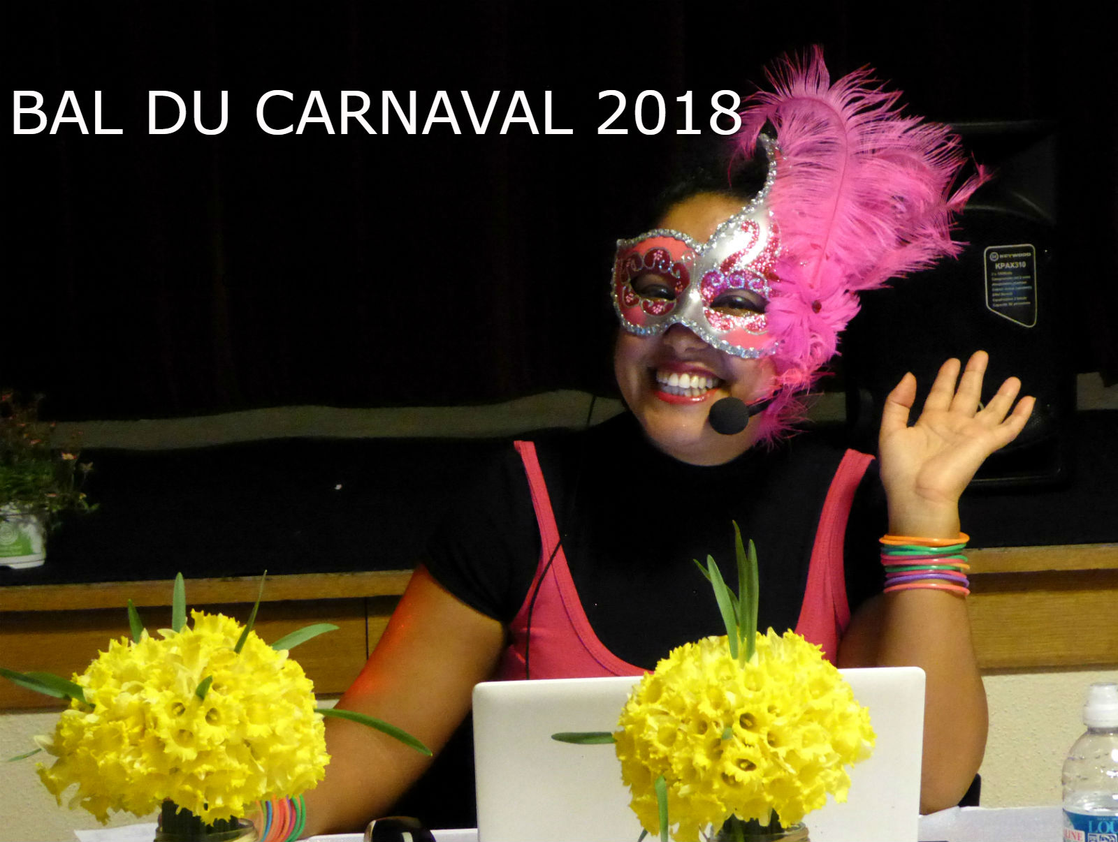 Bal du carnaval de Saint Chéron 2018